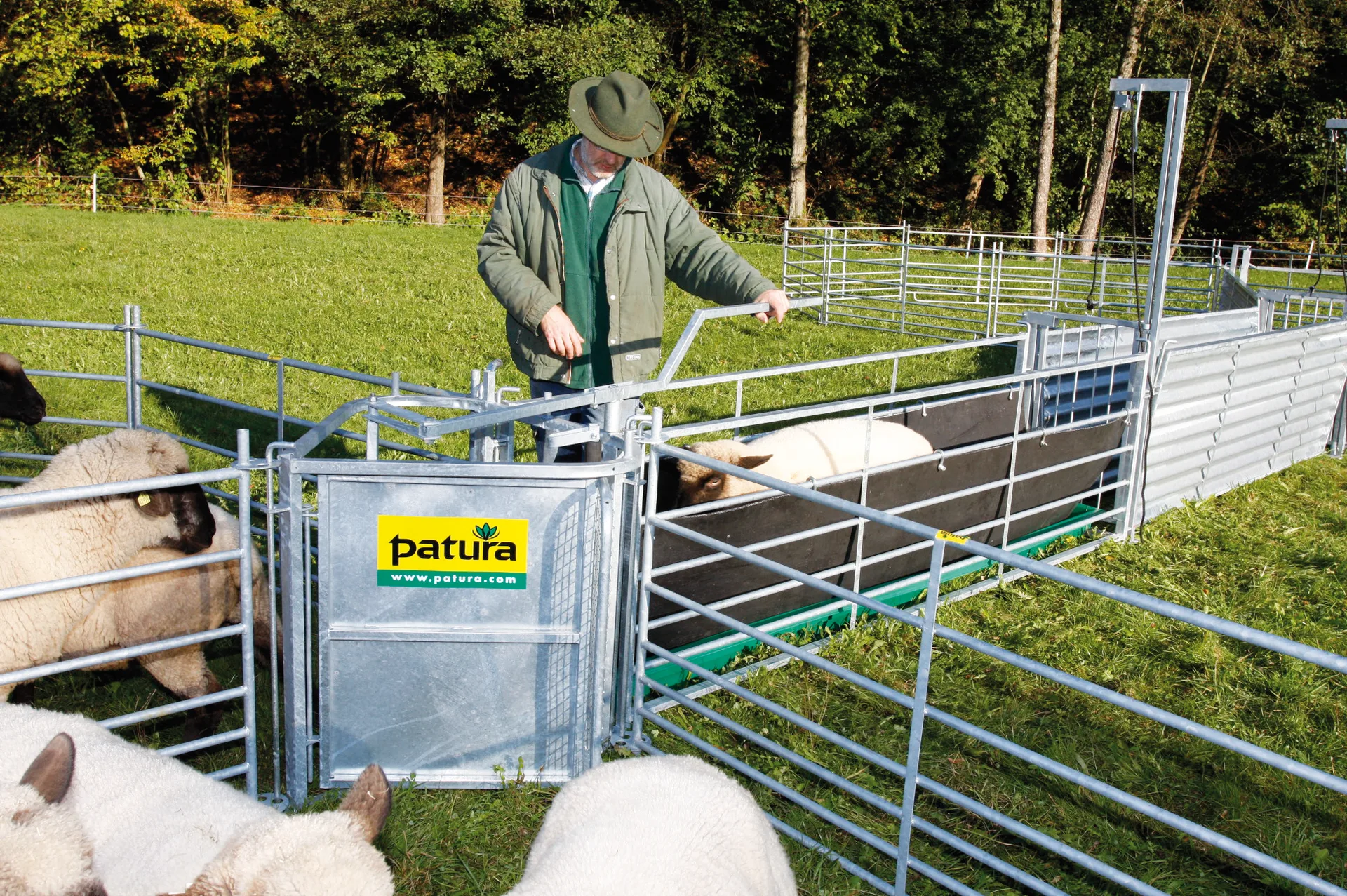Patura - P370210