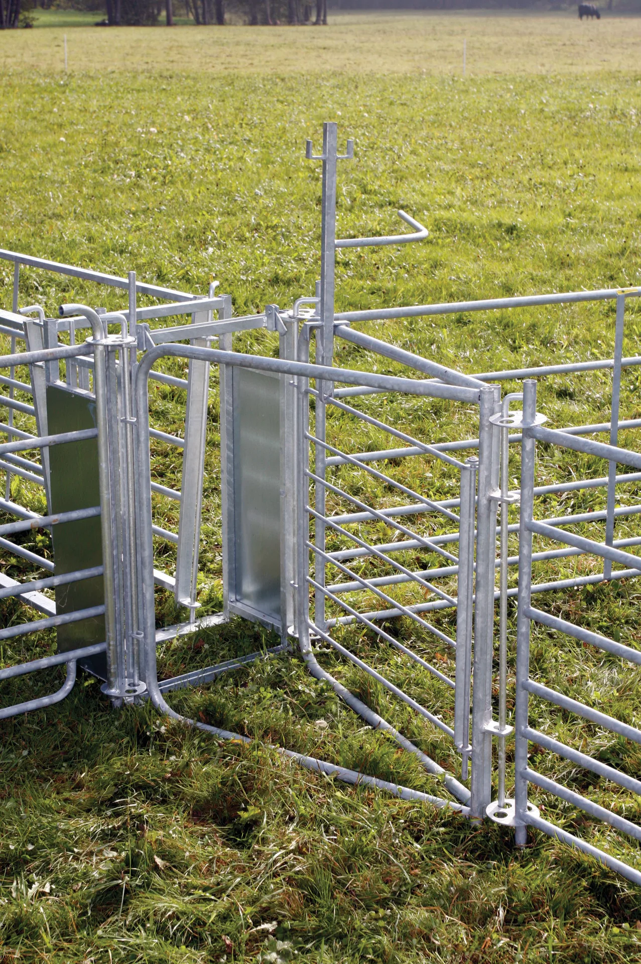 Patura - P37022