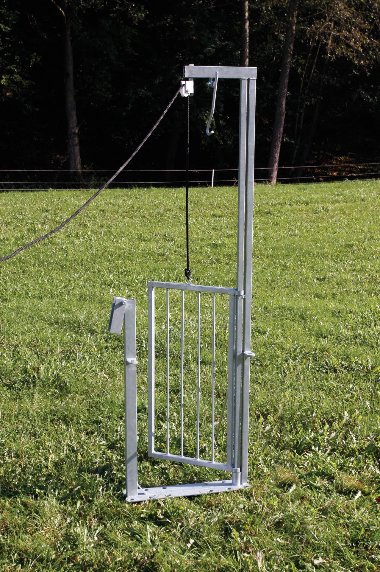Patura - P37035