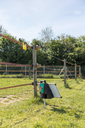 187346.webp