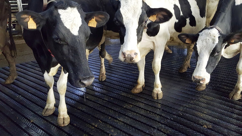 20180202_112543 bearbeitet.webp