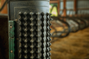 Dairy-Scratchy-reduced.webp