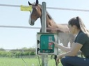vimeo - [Video]