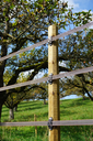 94950.webp