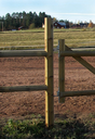 9364.webp
