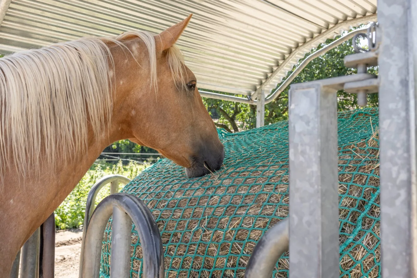 216991.webp