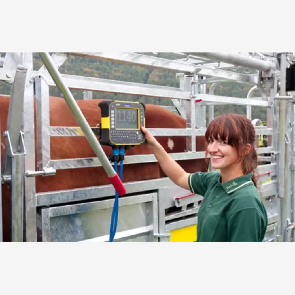 Produktbild (73).webp