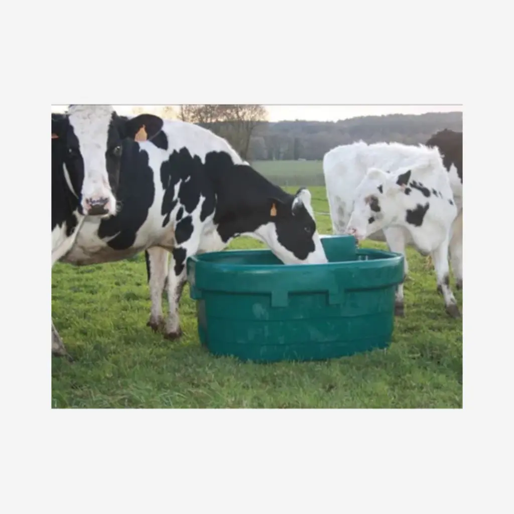 Produktbild - 2026-01-21T115934.639.webp