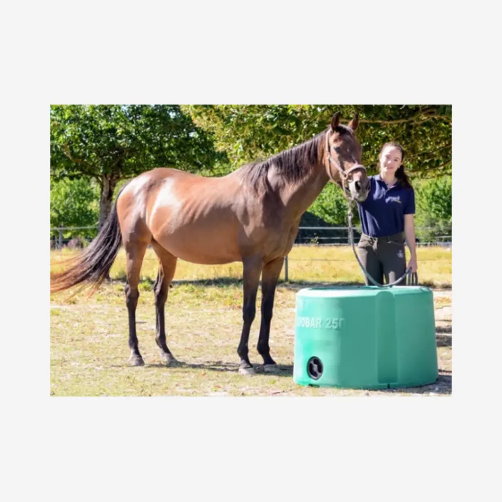 Produktbild - 2026-01-22T072353.372.webp