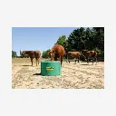 Produktbild - 2026-01-22T072257.647.webp