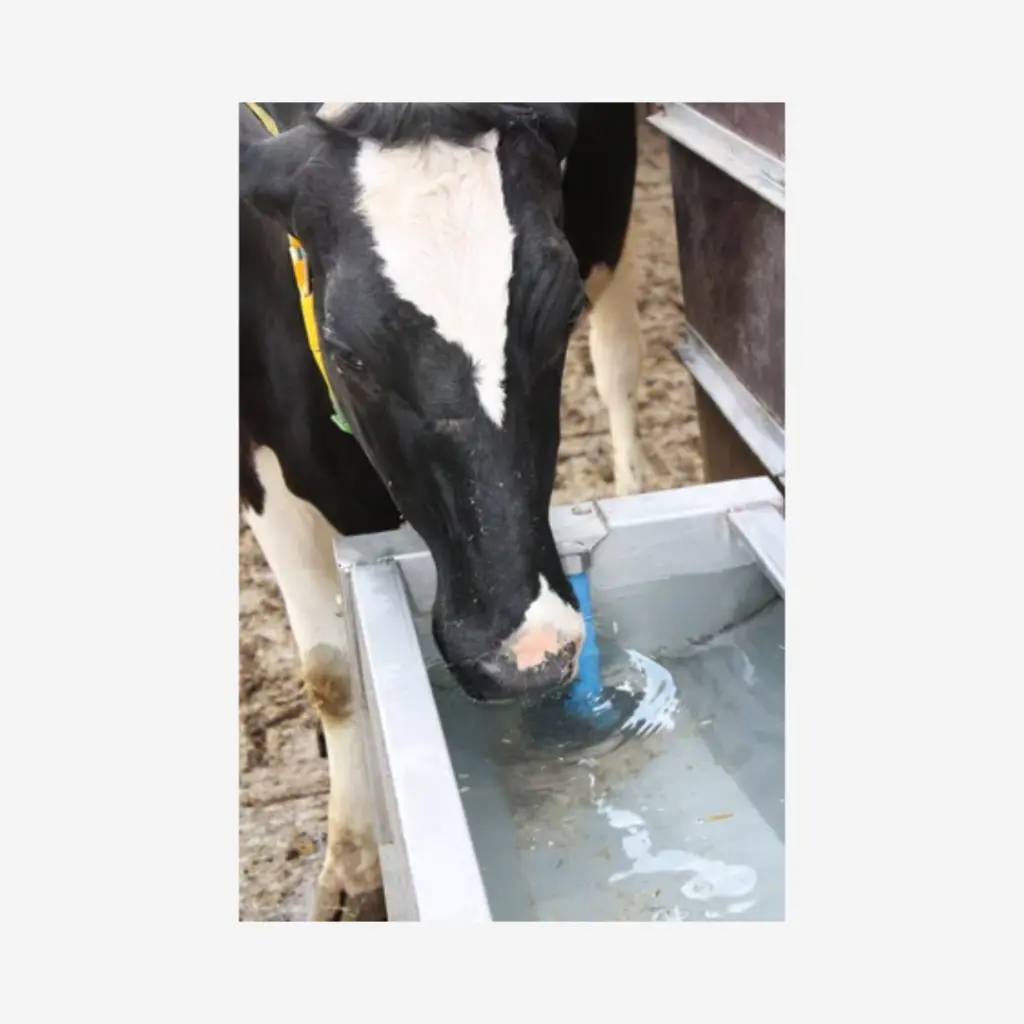 Produktbild - 2026-01-22T082000.420 - Kopie - Kopie.webp