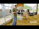 youtube - [Video]