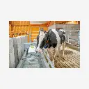 Produktbild - 2026-01-22T123852.006.webp