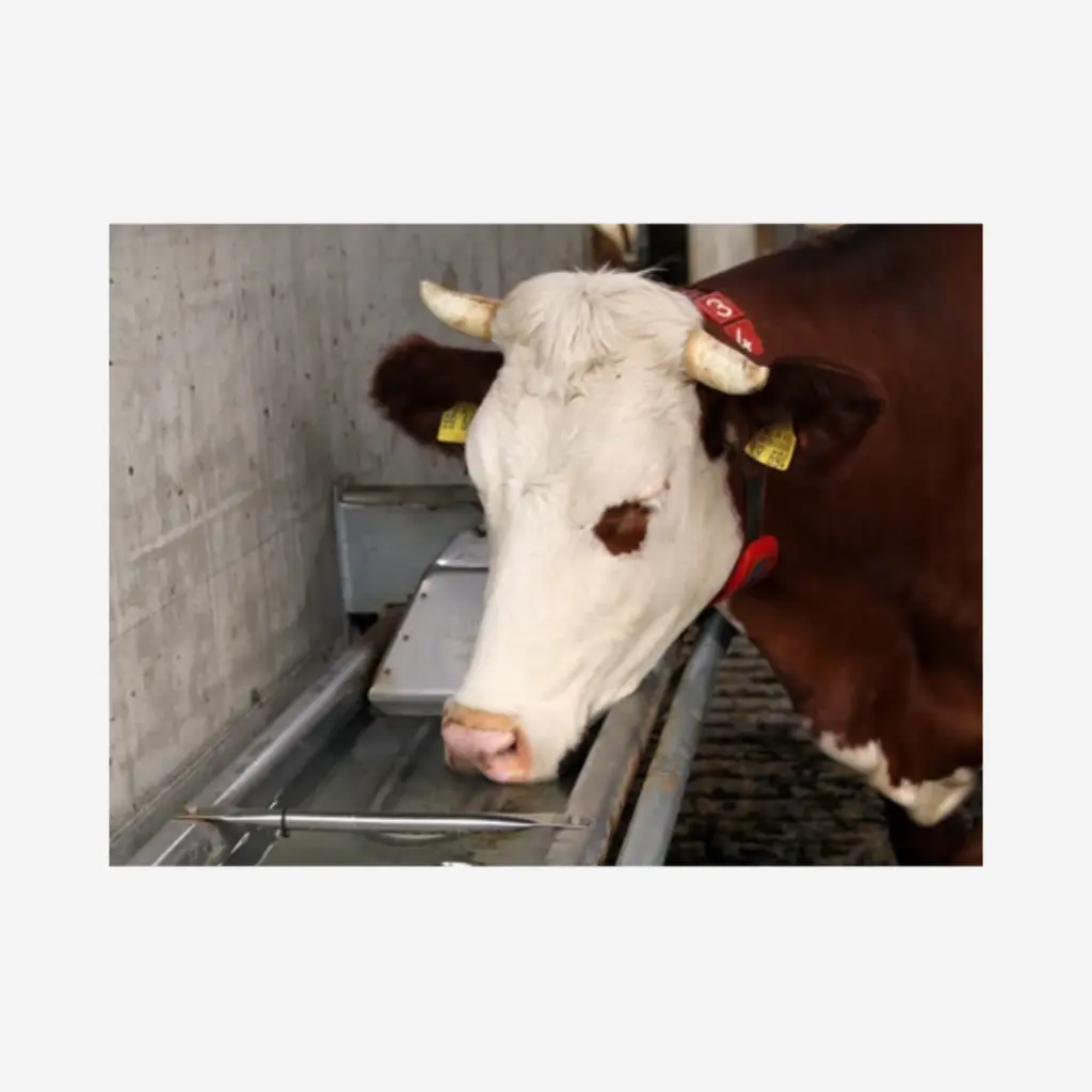 Produktbild - 2026-01-22T123612.965.webp