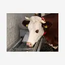 Produktbild - 2026-01-22T123612.965.webp