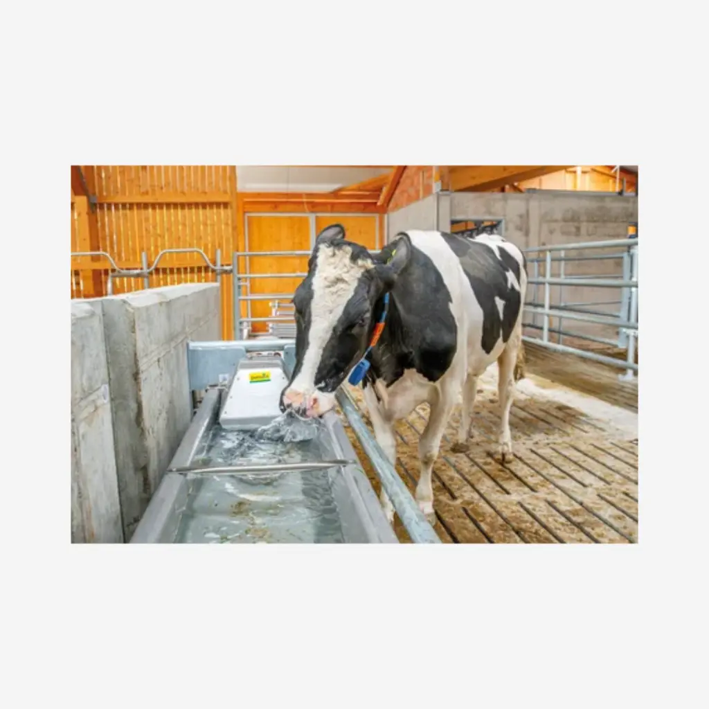 Produktbild - 2026-01-22T123852.006.webp