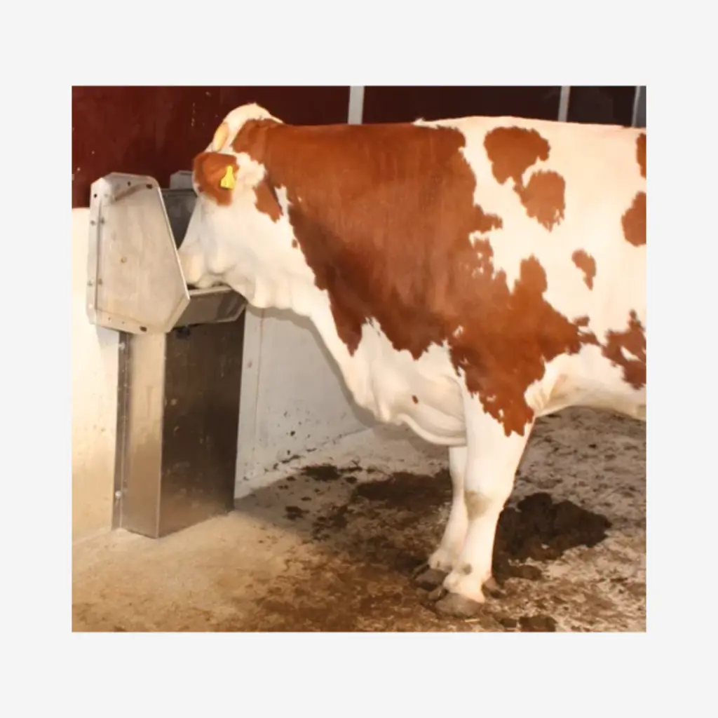 Produktbild - 2026-01-22T131722.297.webp