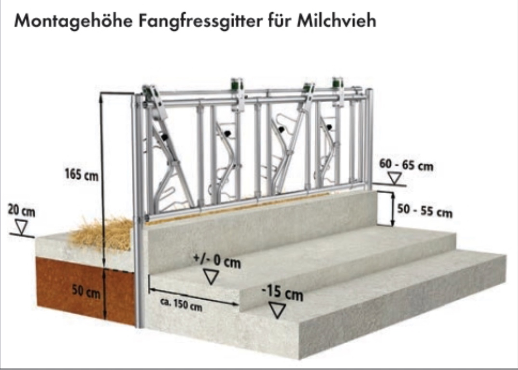 Montagehöhe Fressgitter Milchvieh.webp