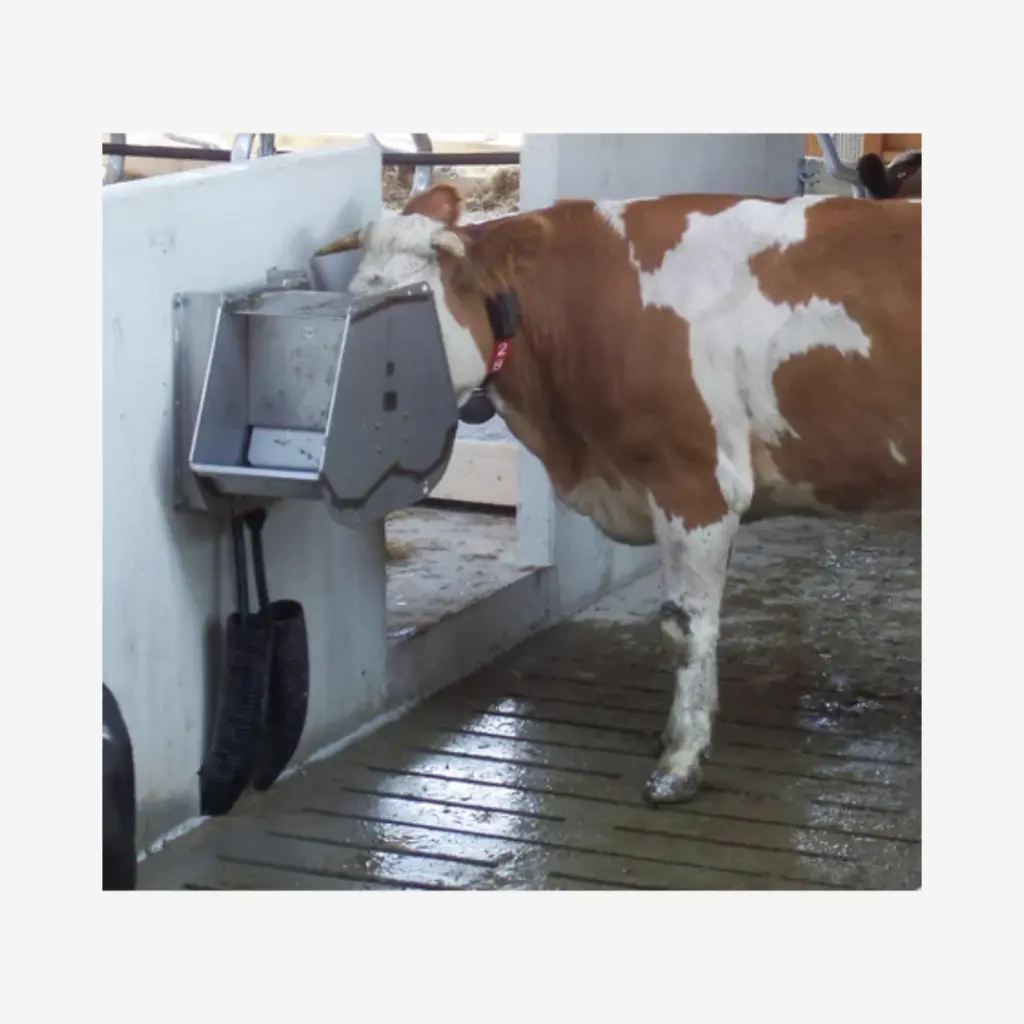 Produktbild - 2026-01-23T091902.487.webp