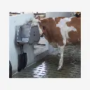 Produktbild - 2026-01-23T091902.487.webp