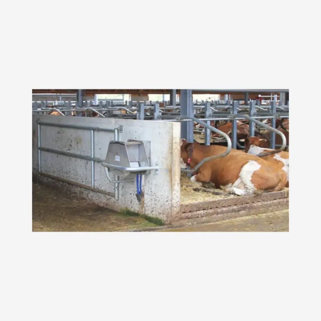 Produktbild - 2026-01-23T091842.773.webp