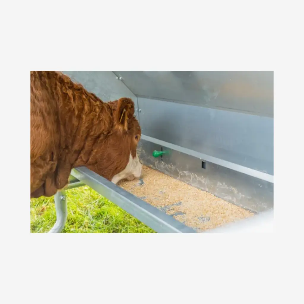 Produktbild - 2026-01-23T093633.893.webp