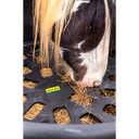 333230_Kunststoff-Futterring-Slow-Feeder_IMG_0075.84837e66.webp