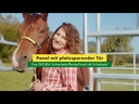youtube - [Video]