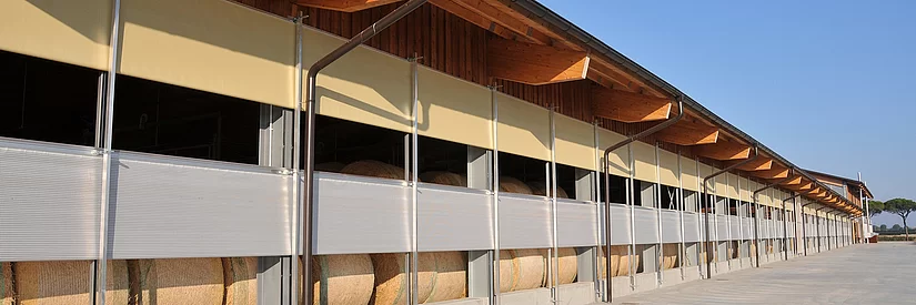 csm_Agriculture_LA_Double_WLU_1_150dpi_063ba6ec8d.jpg.webp
