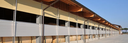 csm_Agriculture_LA_Double_WLU_1_150dpi_063ba6ec8d.jpg.webp