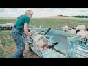 youtube - [Video]