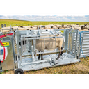 37001_Behandlungsstand-Wendekorb_FW-02065.738df480.webp