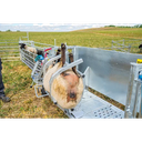 37001_Behandlungsstand-Zugang_FW-02039.78ec0c52.webp