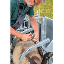 37001_Behandlungsstand-Klauenpflege_FW-02027.583cb4d0.webp