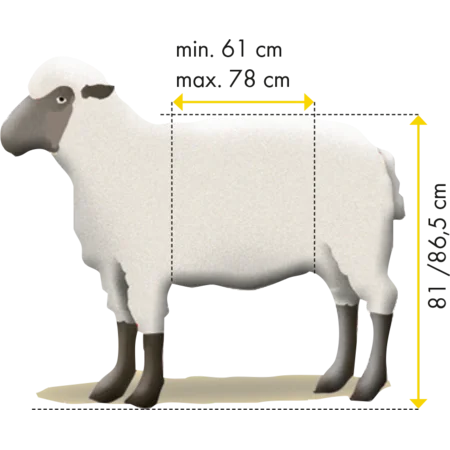 37100_Behandlungsstand-Typ-XL-Schaf-Masse.0560d7ef.webp