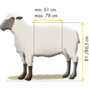 37100_Behandlungsstand-Typ-XL-Schaf-Masse.0560d7ef.webp