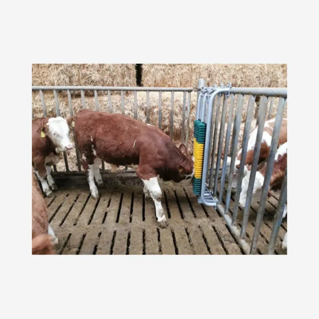 Produktbild - 2026-02-06T082721.588.webp