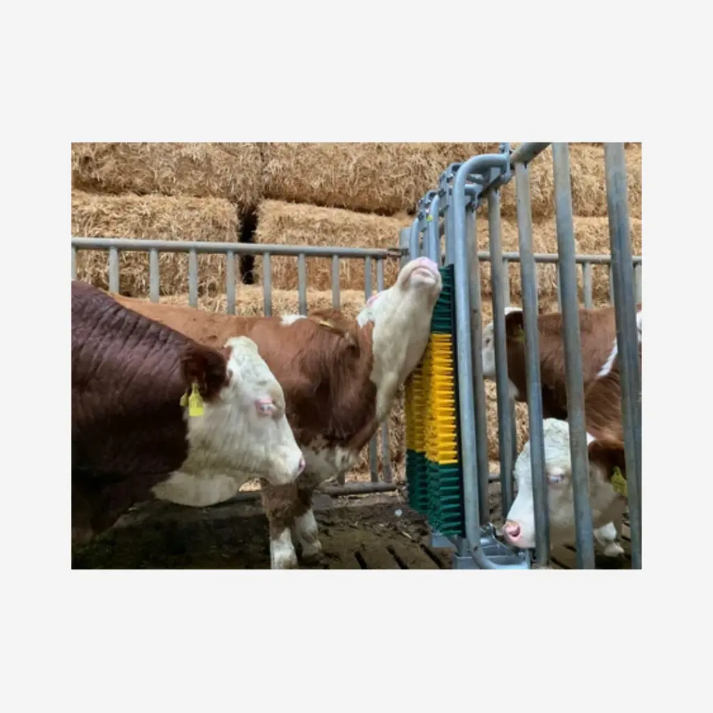 Produktbild - 2026-02-06T082644.848.webp