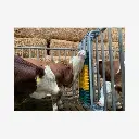 Produktbild - 2026-02-06T082644.848.webp