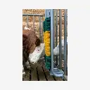 Produktbild - 2026-02-06T082624.828.webp