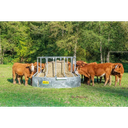 303577_Futtersparraufe-Rind_FW_08177.3a7504d6.webp