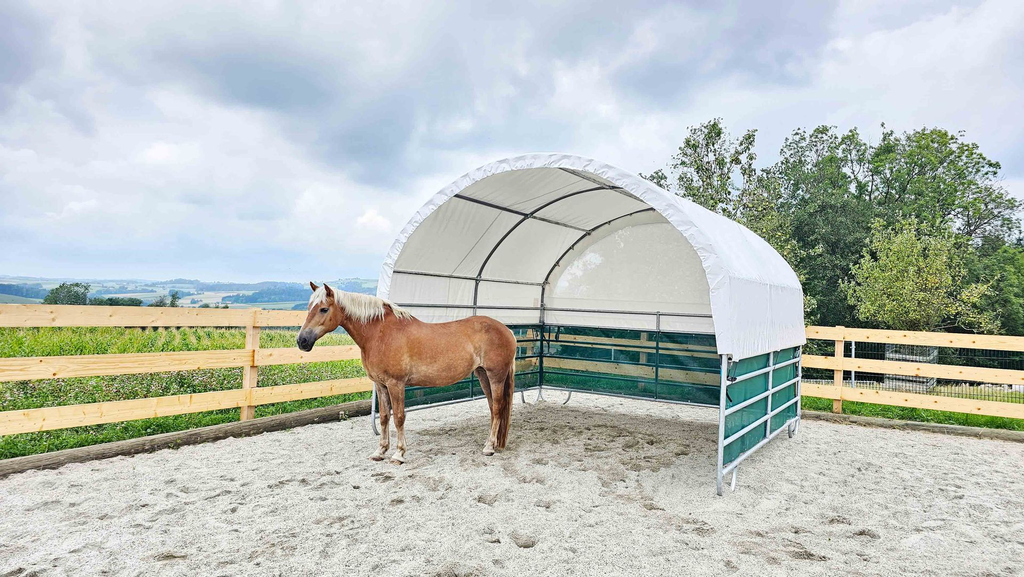 Mobile-Cover (10).webp