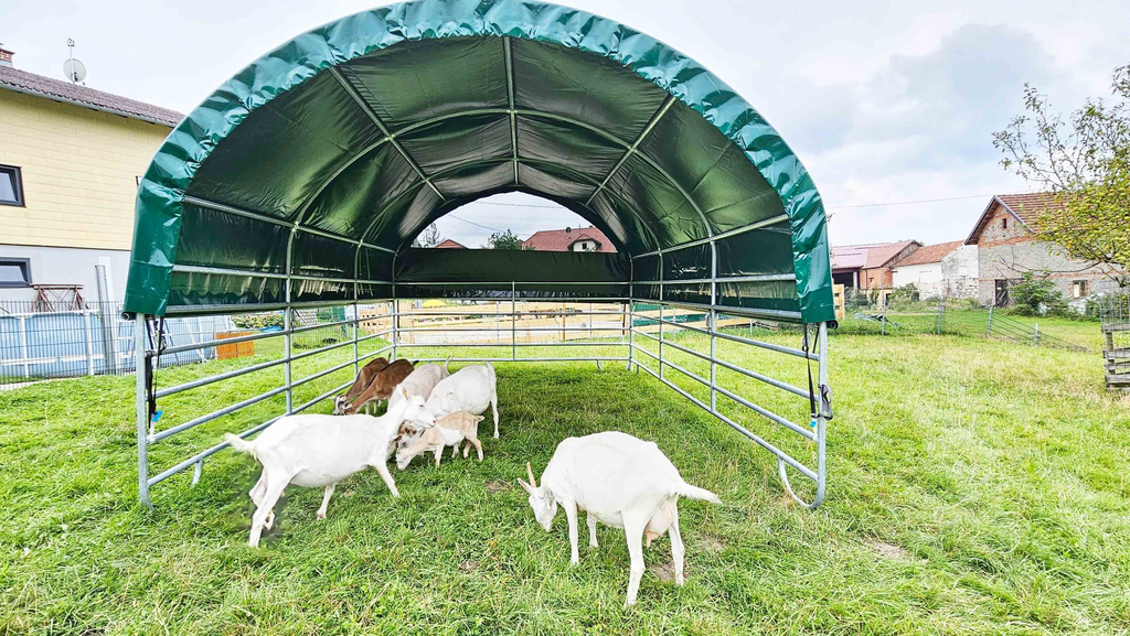 Mobile-Cover (21).webp