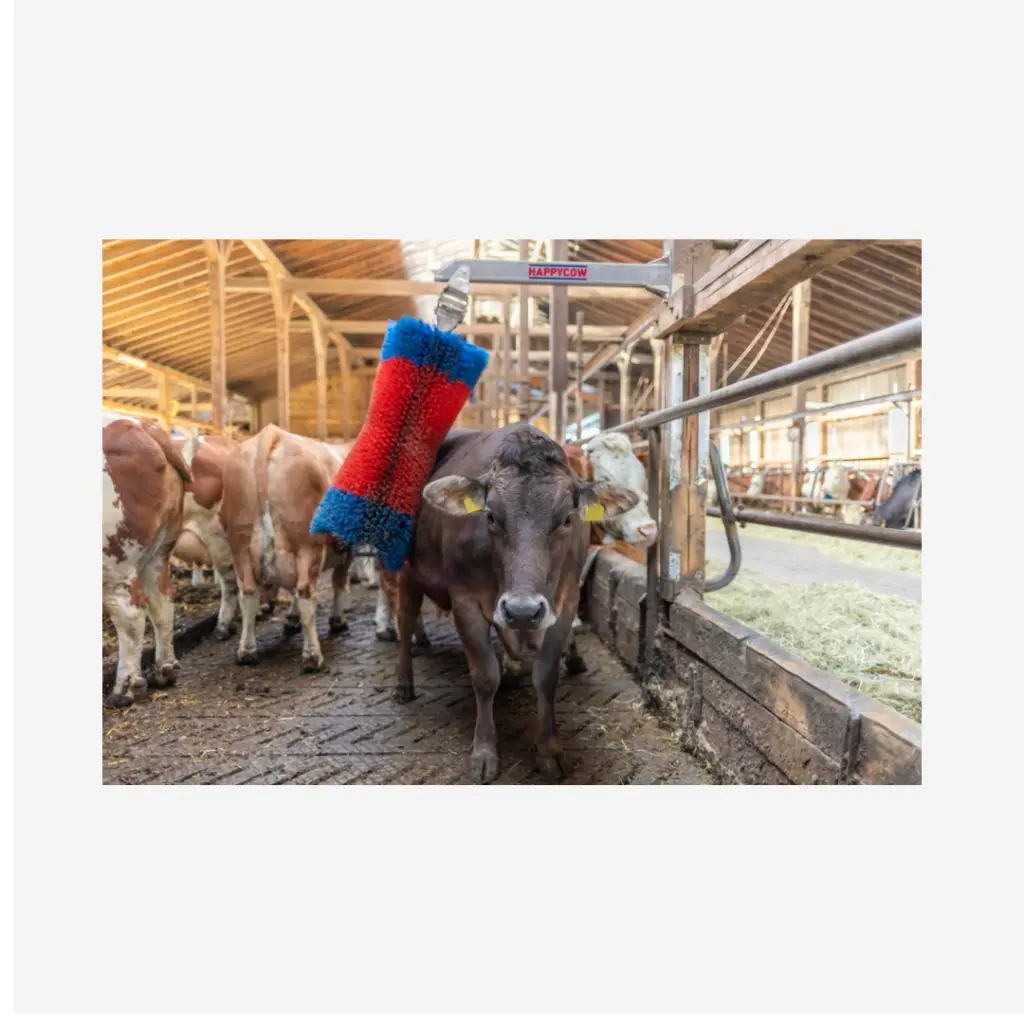 Produktbild - 2026-03-02T084015.295.webp