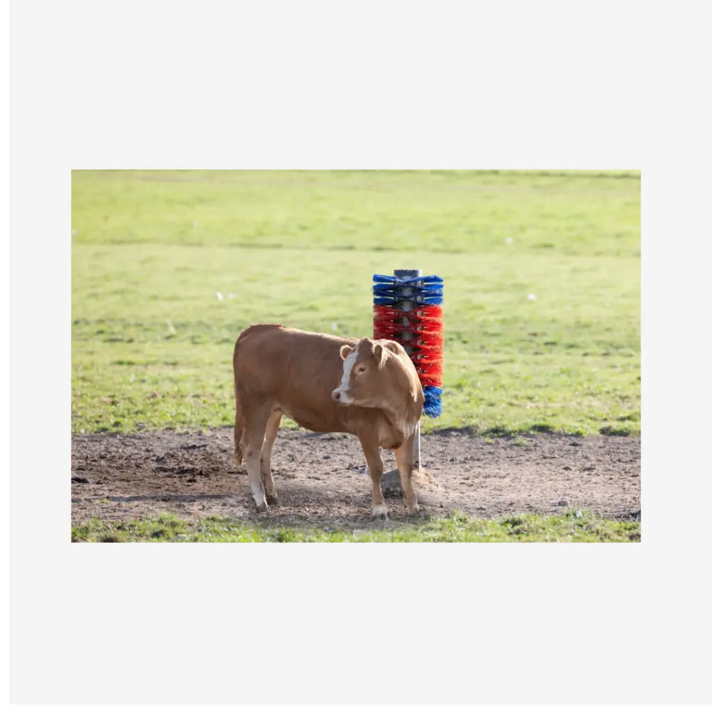 Produktbild - 2026-03-02T084534.086.webp