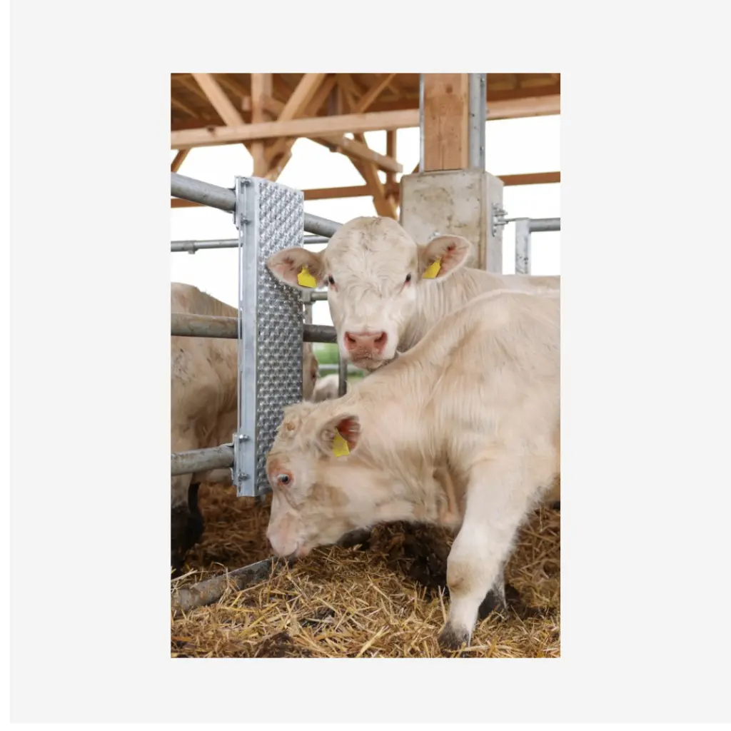 Produktbild - 2026-03-02T115323.593.webp