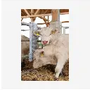 Produktbild - 2026-03-02T115323.593.webp