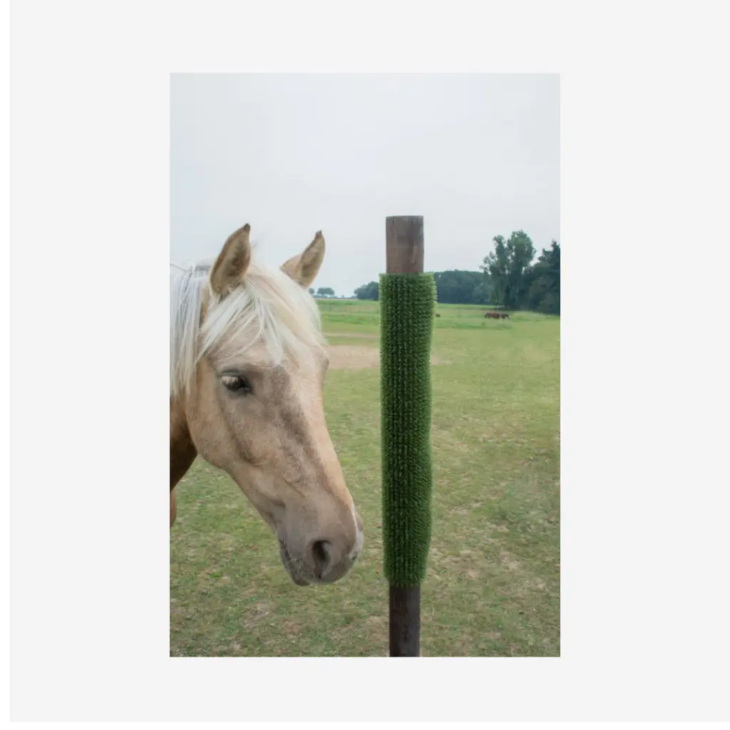 Produktbild - 2026-03-02T115623.306.webp