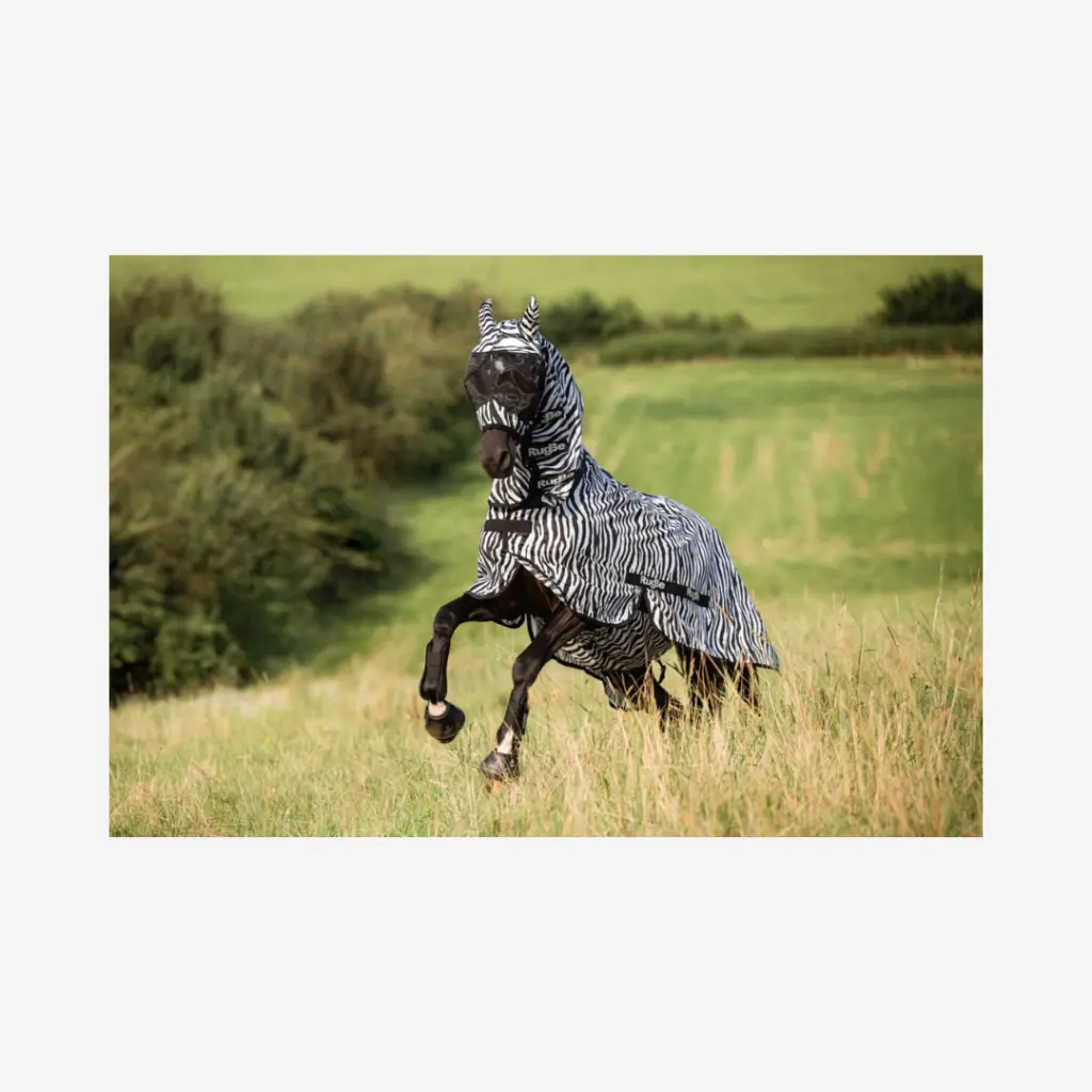 Produktbild - 2026-03-17T093910.312.webp