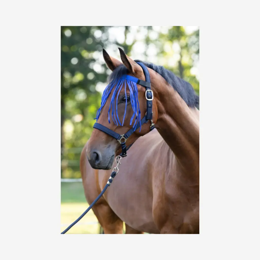 Produktbild - 2026-03-18T135135.455.webp